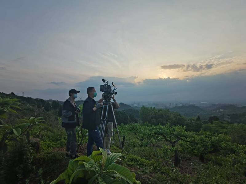 创意破圈！乌当区电商产品宣传视频用故事化叙事引爆流量